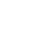 Fast Shipping