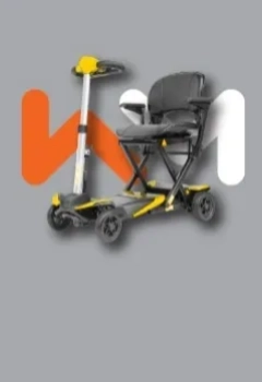 Travel Scooters